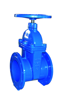 BS5163 Resilient Seated NRS Flanged ends PN10/PN16 BS5163 Resilient Seated NRS Flanged ends PN10/PN16